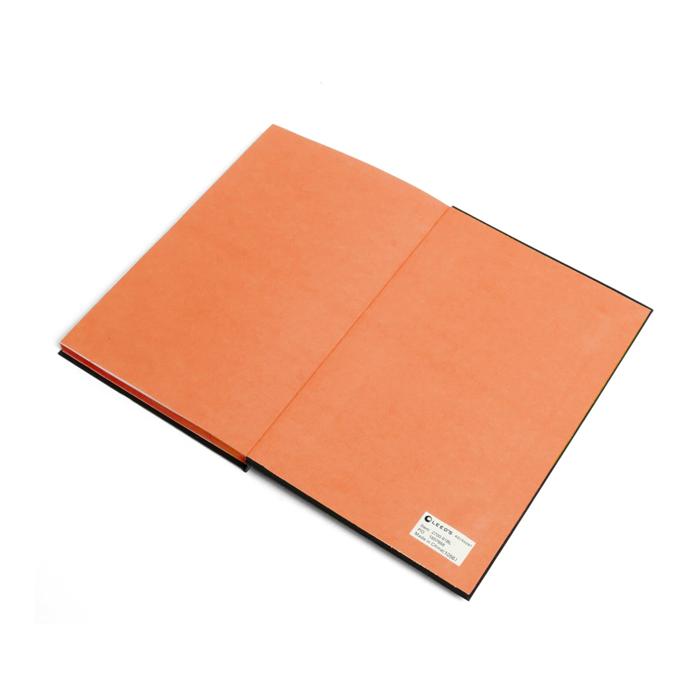 "Wordy Bear" Color Contrast Notebook - Ruled